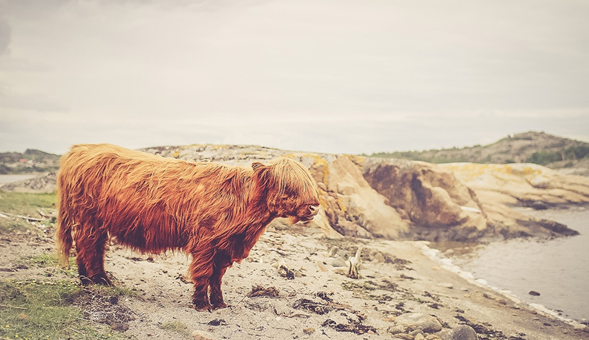 免费短信轰炸机试用