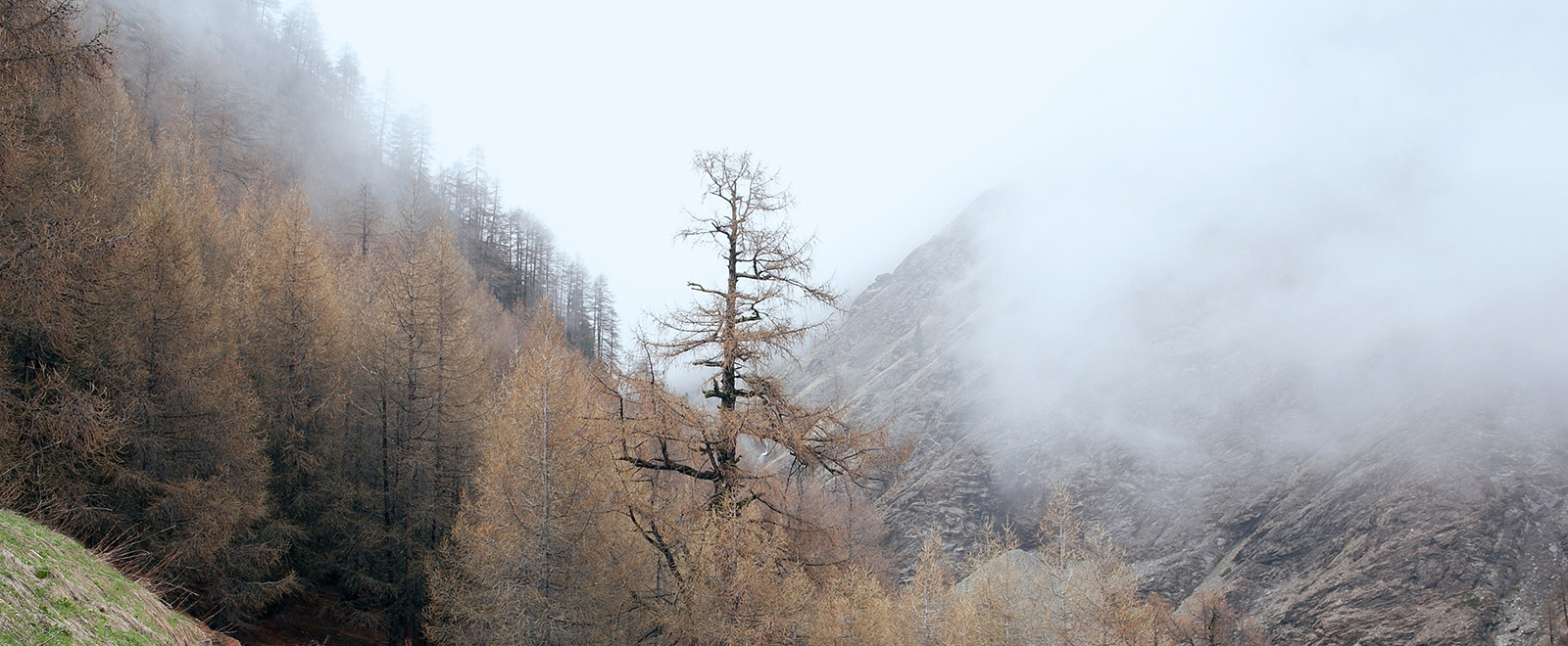 在线手机号接收